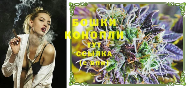 крисы Корсаков