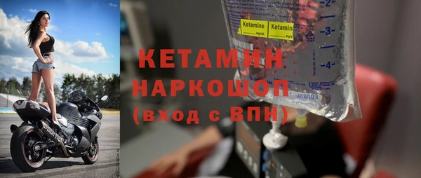 крисы Корсаков