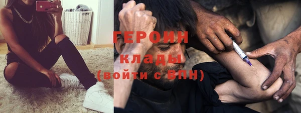 крисы Корсаков