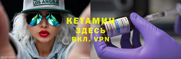 крисы Корсаков