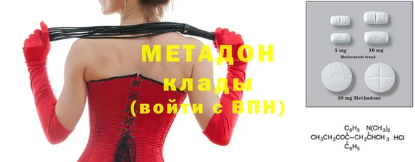 крисы Корсаков