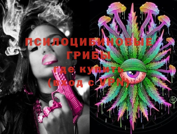 крисы Корсаков