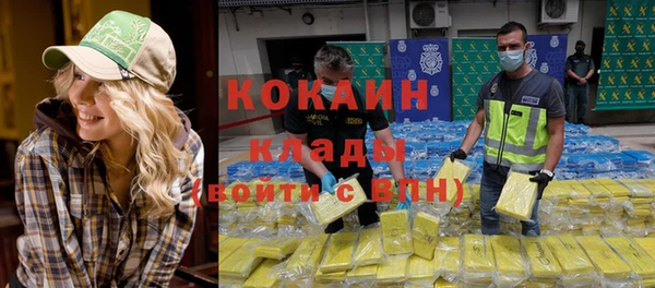 крисы Корсаков