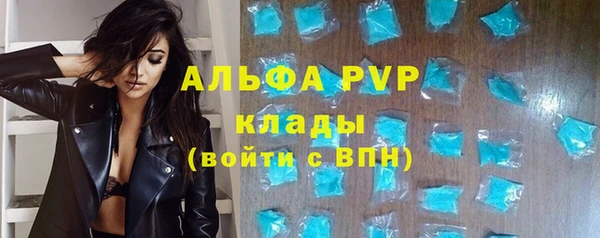 крисы Корсаков